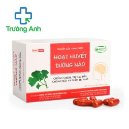 Hoạt huyết dưỡng não GRP - Trị đau đầu chóng mặt, giảm trí nhớ hiệu quả