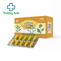 Hương sa lục quân Fito - Hỗ trợ điều trị rối loạn tiêu hóa