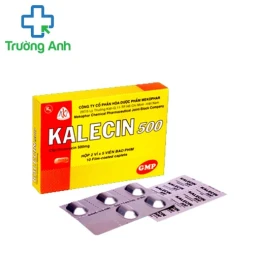 Kalecin 500 - Thuốc kháng sinh điều trị nhiễm khuẩn hiệu quả