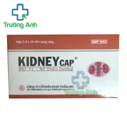 Kidney cap OPC - Thuốc cải thiện sức khỏe hiệu quả