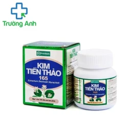 Kim tiền thảo BVP - Thuốc điều trị sỏi thận, sỏi tiết niệu hiệu quả