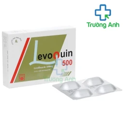 Levoquin 500  Pymepharco - Thuốc điều trị nhiễm khuẩn hiệu quả