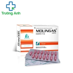 Molingas - Thuốc điều trị viêm loét dạ dày, tá tràng hiệu quả