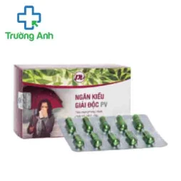 Ngân kiều giải độc PV Pharma - Giúp điều trị cảm mạo phong nhiệt hiệu quả