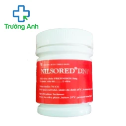 Nilsored DNP - Thuốc giảm đau kháng viêm hiệu quả của Đông Nam