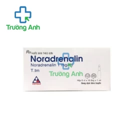 Noradrenalin Vinphaco - Thuốc điều trị huyết áp thấp hiệu quả