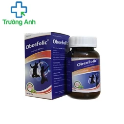 Obee Folic - Thuốc bổ sung sắt hiệu quả