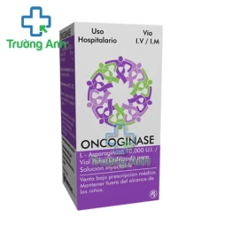 Oncoginase 10000UI - Thuốc điều trị bạch cầu tủy tế bào hiệu quả