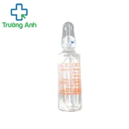 Prebivit 200 - Thuốc điều trị nhiễm khuẩn hiệu quả của Pharbaco