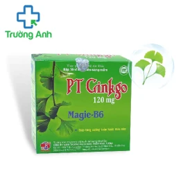 PT Ginkgo 120mg Nature Pharma - Tăng tuần hoàn máu não