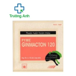 PYMEGINMACTON 120 - Hỗ trợ điều trị rối loạn tuần hoàn máu não của Pymepharco