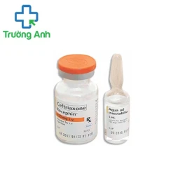 Rocephin IV 250mg - Thuốc điều trị nhiễm khuẩn nặng hiệu quả