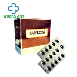 Sanroza - Thuốc bổ não, tuần hoàn não hiệu quả của Đông Nam