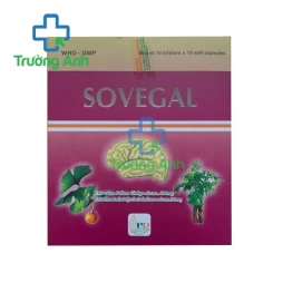 Sovegal - Thuốc điều trị suy giảm trí nhớ hiệu quả