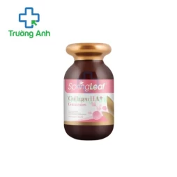 SpringLeaf Collagen HA+ Gummies - Giúp bổ sung collagen cho cơ thể