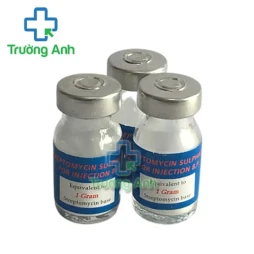 Streptomycin Sulphate for injection BP 1g Rotexmedica - Thuốc kháng sinh trị nhiễm khuẩn