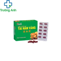 Tai Nấm Vàng G-Pharm - Giúp hỗ trợ các vấn đề về gan hiệu quả