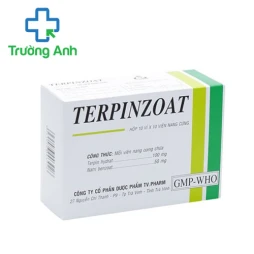 Terpinzoat TV.Pharm - Thuốc điều trị ho, long đờm hiệu quả