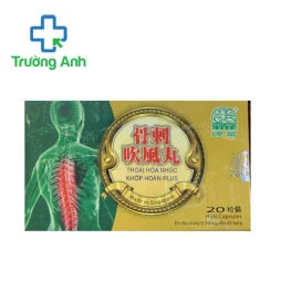 Thoái Hóa Nhức Khớp Hoàn Plus - Giúp giảm đau xương khớp