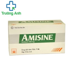 AMISINE - Thuốc điều trị nhiễm khuẩn của Pymepharco