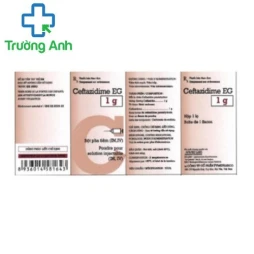 Ceftazidime EG 1g - Thuốc điều trị nhiễm khuẩn hiệu quả của Pymepharco