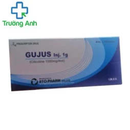 Gujus Inj 1g - Thuốc điều trị bệnh não cấp tính hiệu quả của BTO