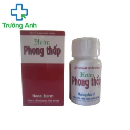 Hoàn phong thấp Hanapharm (hoàn cứng) - Hỗ trợ điều trị phong tê thấp 