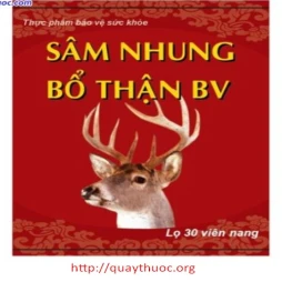 Sâm nhung bổ thận BV - TPCN bổ thận hiệu quả