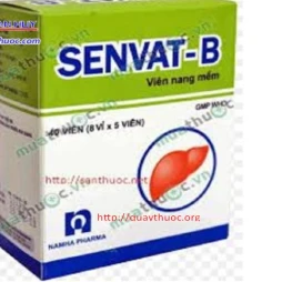 Senvat B - Thuốc tăng cường sức khỏe lá gan hiệu quả