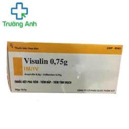 Visulin 0,75g VCP - Thuốc điều trị nhiễm khuẩn hiệu quả.