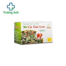 Trà Cà Gai Leo Lava - Hỗ trợ điều trị viêm gan