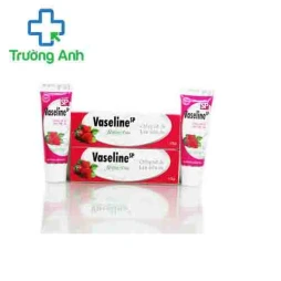 Vaseline SP Phương Nam - Kem chống khô, làm mềm da hiệu quả