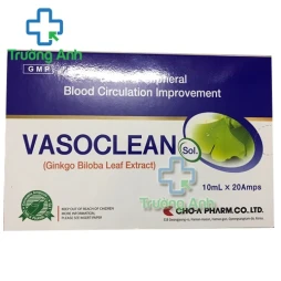 Vasoclean - Giúp điều trị rối loạn tuần hoàn não hiệu quả