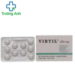 Vibtil 250mg- thuốc điều trị rối loạn tiêu hóa, giúp thông mật, lợi mật, lợi tiểu dùng khi bị sỏi mật