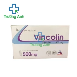 Vincolin 500mg/2ml - Thuốc điều trị bệnh não cấp tính hiệu quả của Vinphaco