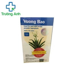 Vương Bảo lọ - Điều trị u phì đại tiền liệt tuyến hiệu quả