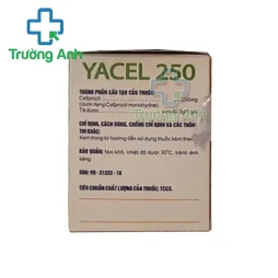 Yacel 250 - Thuốc điều trị nhiễm khuẩn của Dopharma