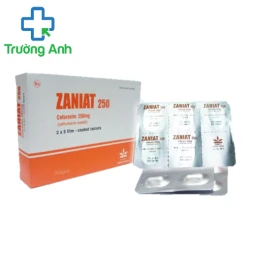 ZANIAT 250 - Thuốc điều trị nhiễm khuẩn hiệu quả của Vidipha